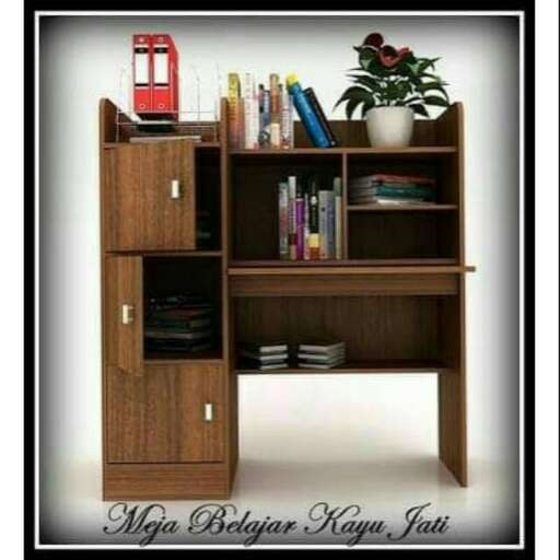 a bookcase with a plant on it.