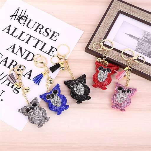 a nurse's keychain and a picture of a cat and a cat.