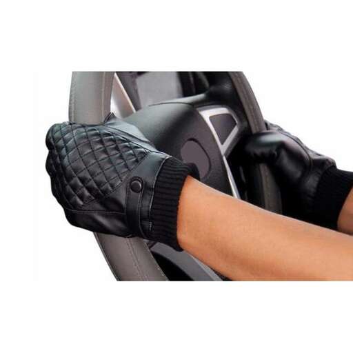 gloves are a must for any car.