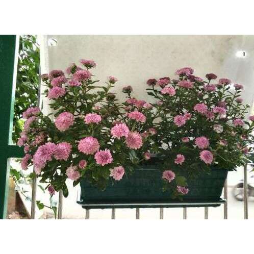 a potted plant on a bench in a courtyard.