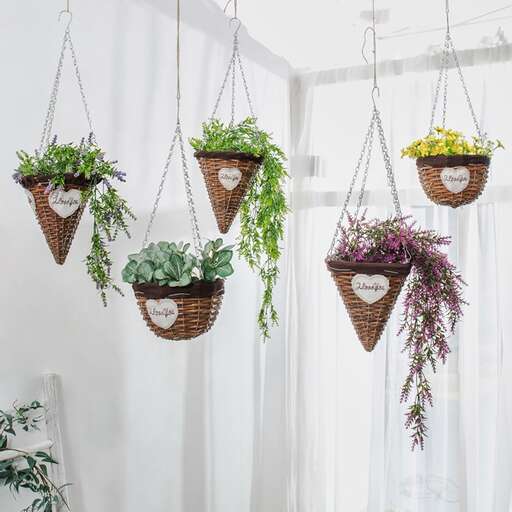hanging plants in a basket