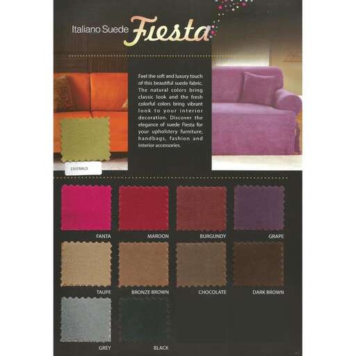 i like the color of the couch