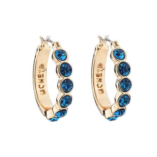 a pair of blue and white gold hoop earrings