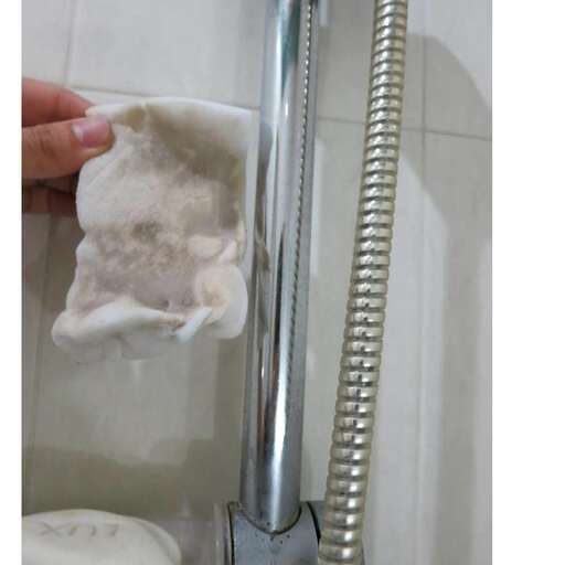 a person holding a toilet brush in a bathroom.