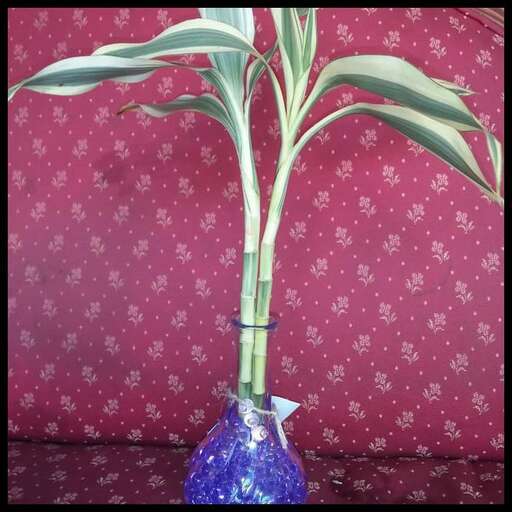 a blue vase with a plant in it.