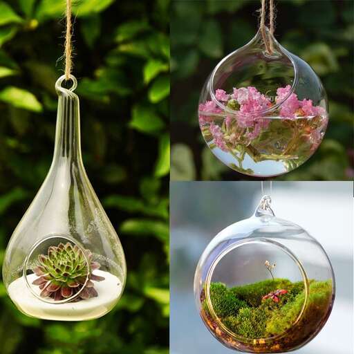 a glass pendant with a tiny plant inside.
