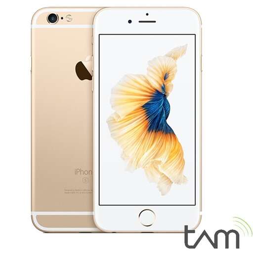 the back of the iphone