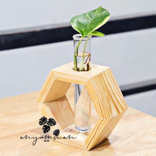 a small plant in a vase on a table.