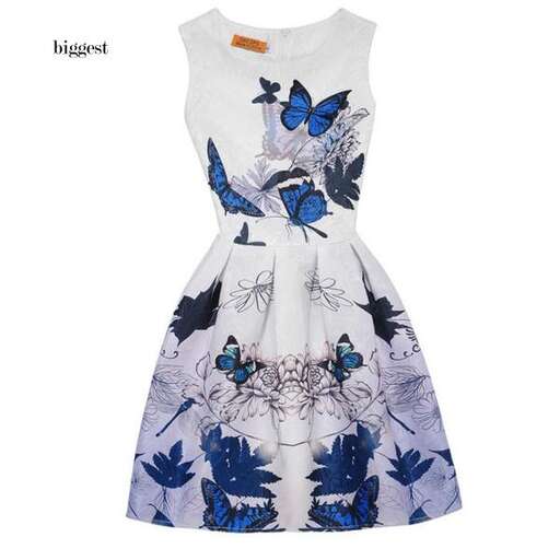 dress with butterflies on the sleeves