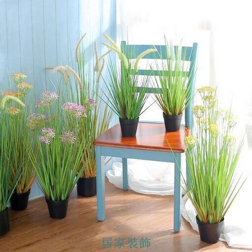 a chair with a blue chair and some plants