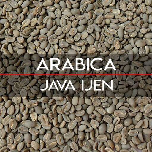 a close up of a large group of coffee beans.