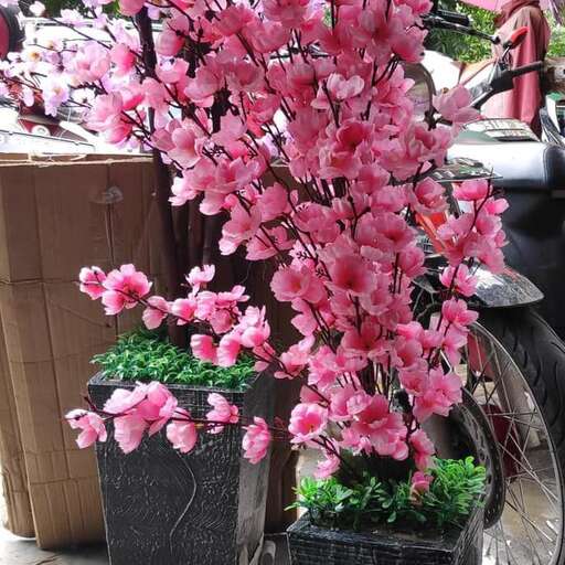 a pink tree in a pot on the sidewalk.