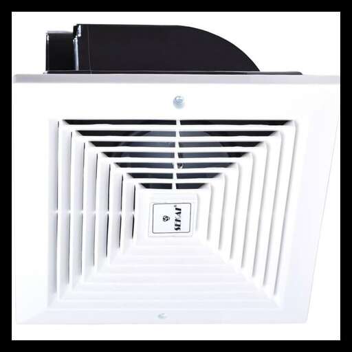 a picture of a door that looks like a cat.