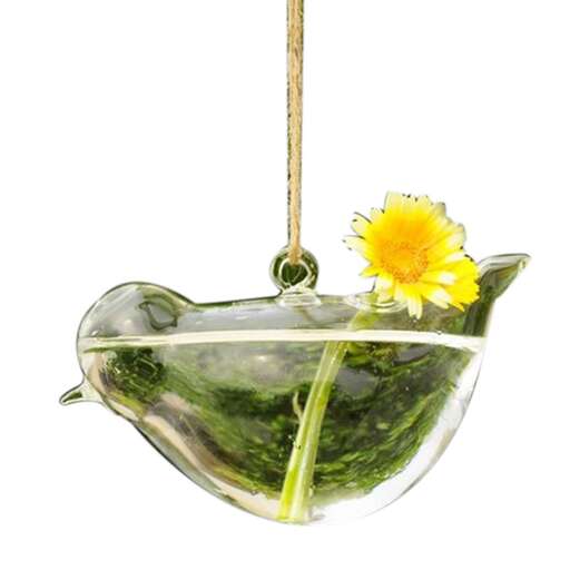 a flower in a teapot