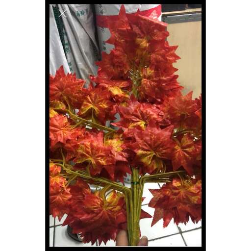 a red and yellow flower in a vase.
