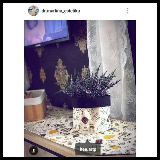 a plant on a table in a room.