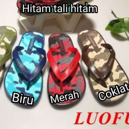 a pair of sandals with a picture of a plant.