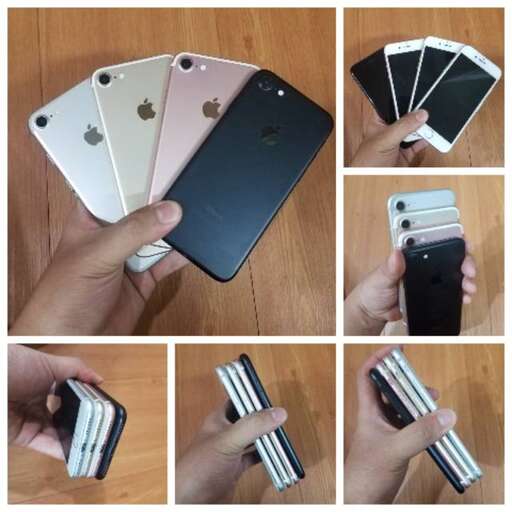 a person holding a cell phone in their hand.