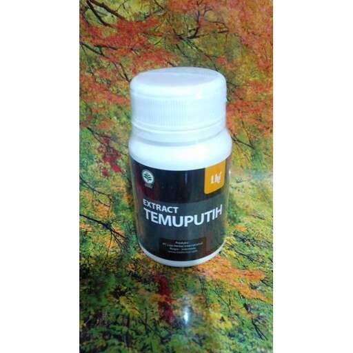 a bottle of vitamins in a forest