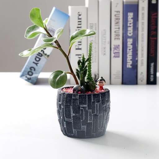 a small plant is in a small pot on a table.