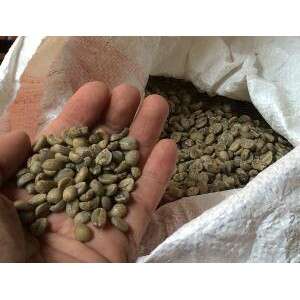 i'm holding the coffee beans in my hand.
