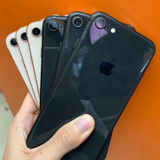 a person holding a cell phone in their hand.