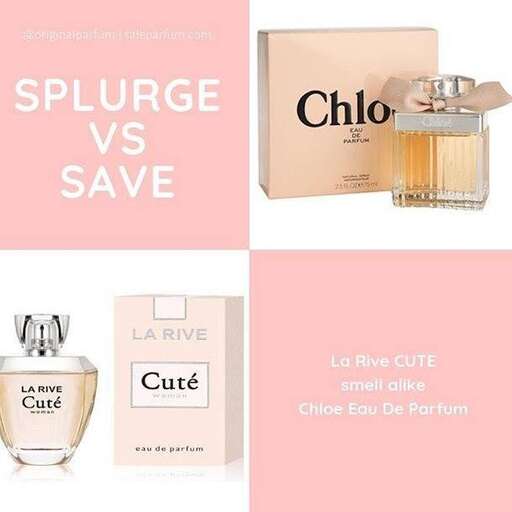 the perfumes that are the best for women