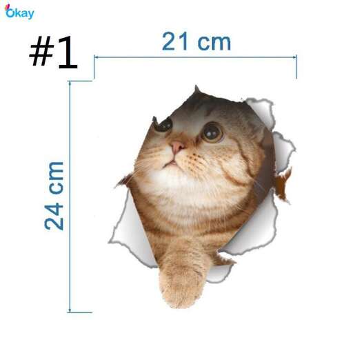 cat looking out of a hole