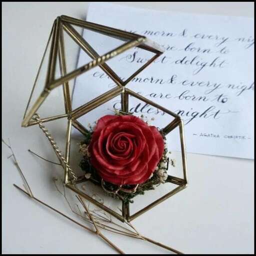 a flower in a box