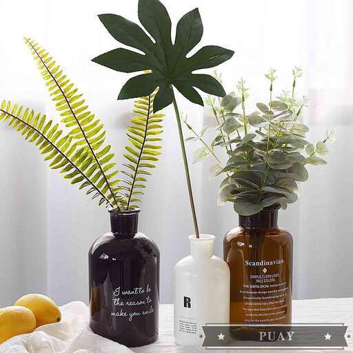 a plant and a bottle on a table.