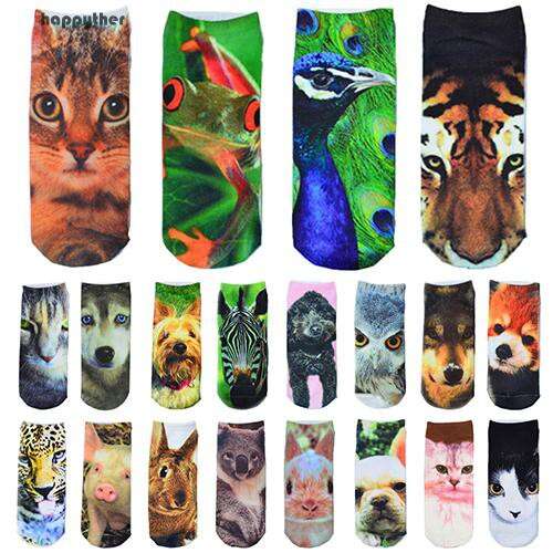 all the cats in the world have to be printed on their socks.