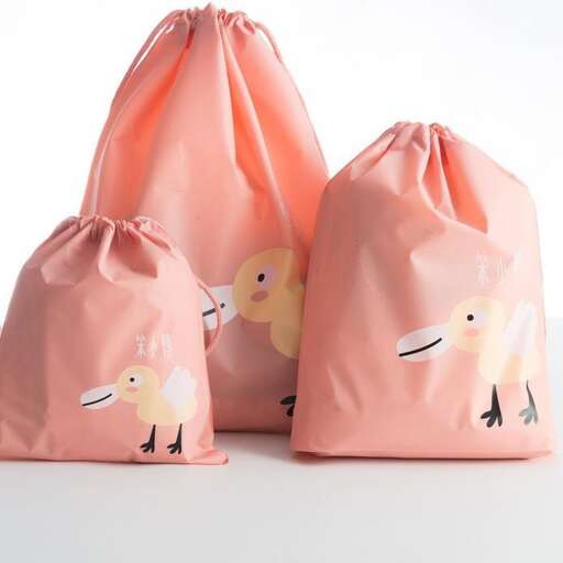 little chickens in a pink bag