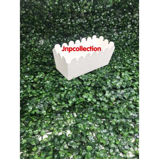 a green wall with a leafy plant.