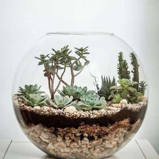 a fish bowl with plants in it