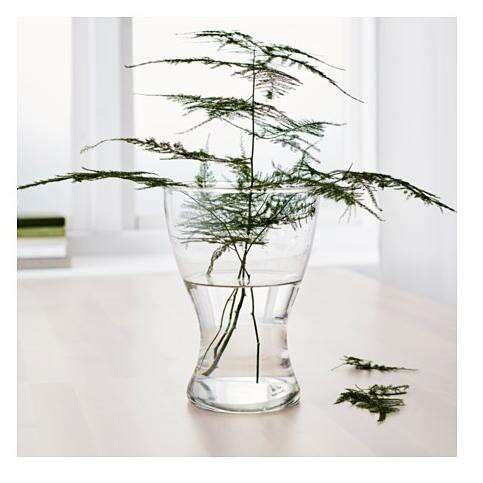 a small plant in a glass vase on a table.