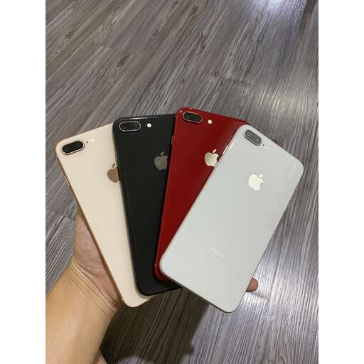 a person holding a phone in their hand.