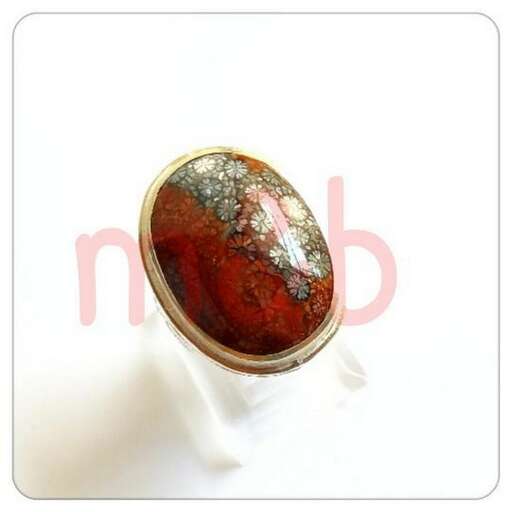 a ring with a red stone in the middle.