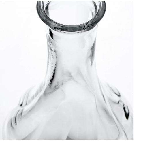 the back of the neck