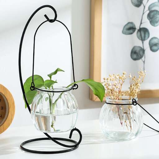 a small glass vase with a plant in it.