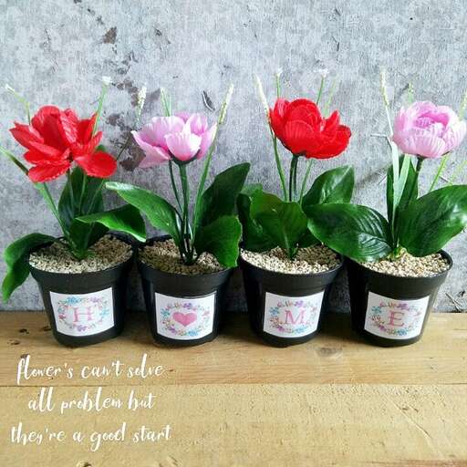 flowers in pots