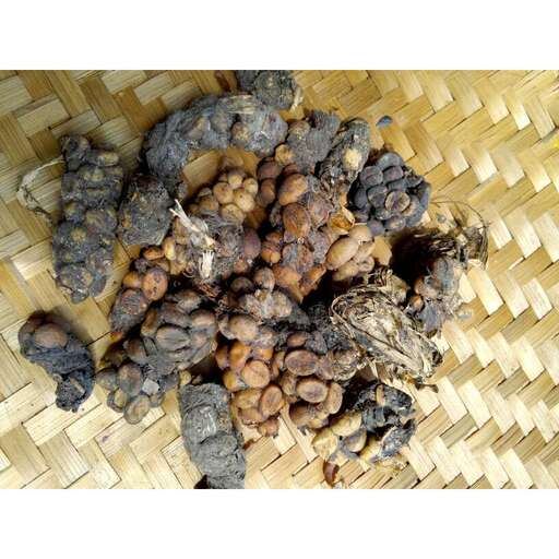 a basket of dried fruit