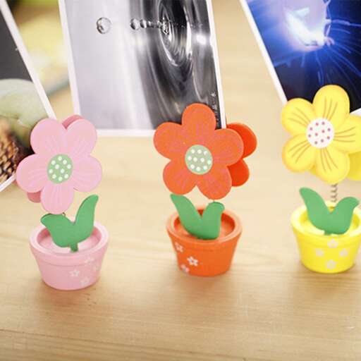 flower pots in the office