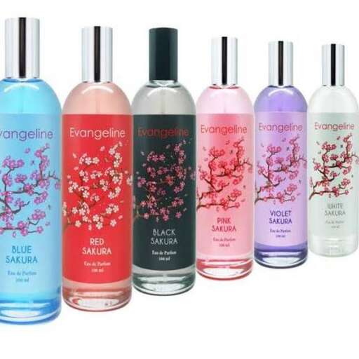 beauty products for women in the world