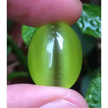 a glass bead in a plant