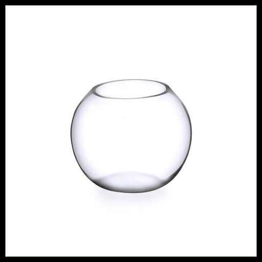 a glass bowl with water in it