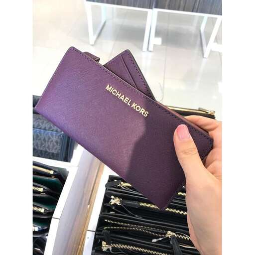 a person holding a wallet in their hand.