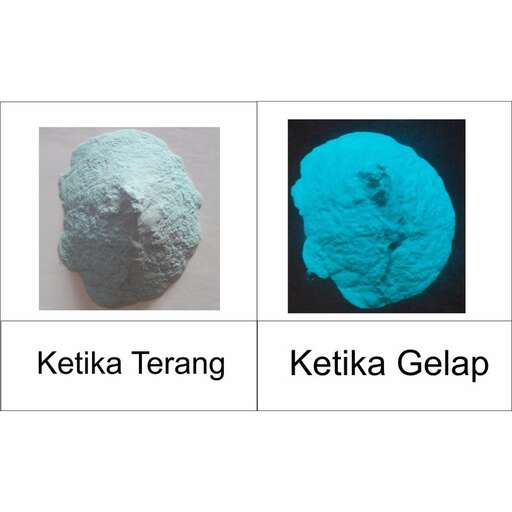 the blue is the color of the earth.