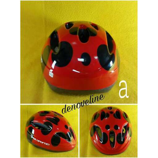 ladybug ladybug in red and black