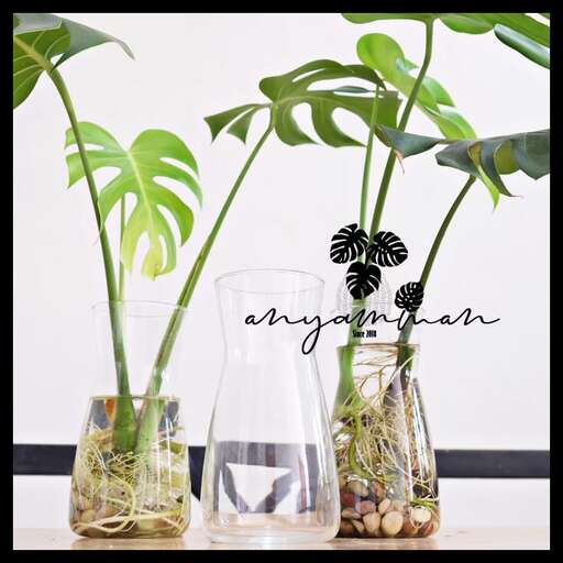 a glass vase with plants in it and a plant in it.