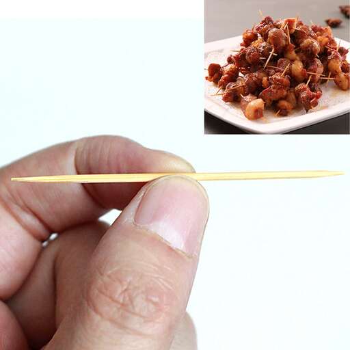a person holding a stick with a toothpick in it.